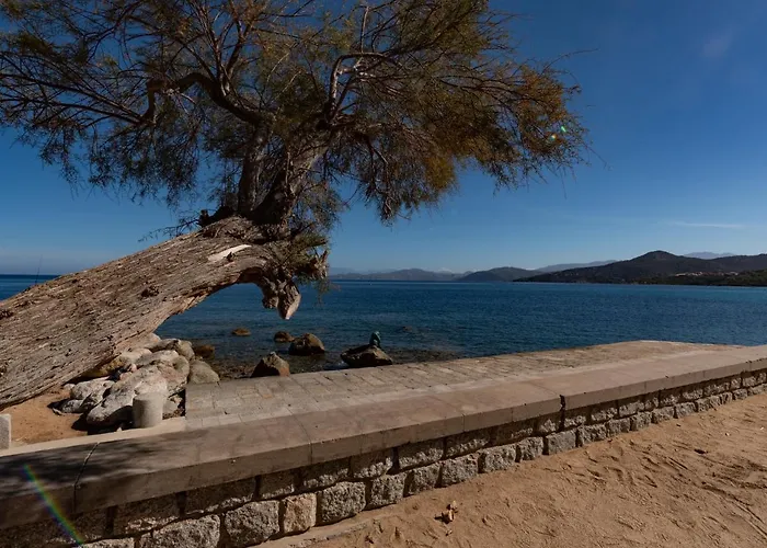 Apartament Les 3c By Interhome *